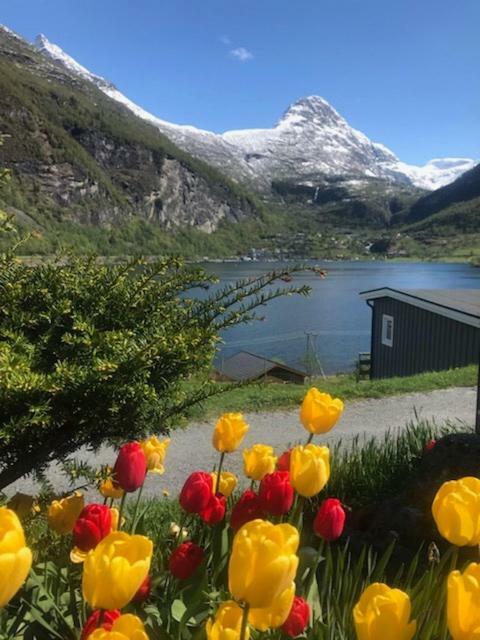 Willa Solhaug Fjordcamping Geiranger Zewnętrze zdjęcie